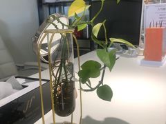 -星美科技皮肤管理中心(国贸店)