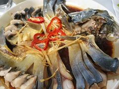 -煲来饱去冷水鱼