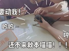 -瑞鹏宠物医院·骨外科·心肾科·肿瘤科(九亭店)
