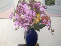 -中国科学院华南植物园