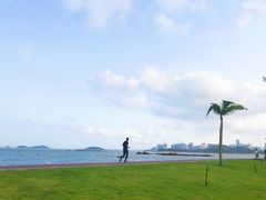 -野狸岛