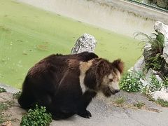 -成都动物园