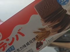 -赵一鸣零食(冠军城店)