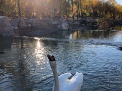 -鄂尔多斯野生动物园