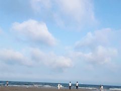 -日照海滨国家森林公园