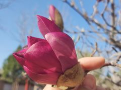 -盛世南宫影视城(北普陀影视城)