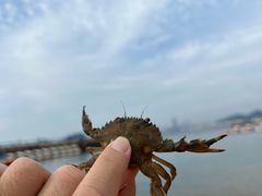-大连君悦酒店