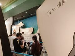 -小熊维尼历险之旅