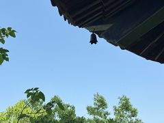 -梁子岛生态旅游区