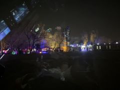 -枫花园汽车电影院(朝阳公园店)