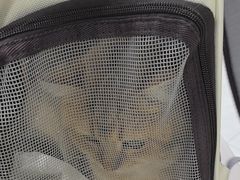 -达爱动物医院·犬猫分区·CT·复杂眼科(远洋山水分院)