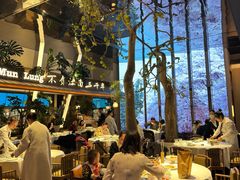 -桂满陇·海市蜃楼·黑金(国金店)