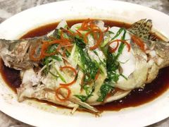 -优护优家Ucare月嫂育儿嫂陪伴师(静安店)