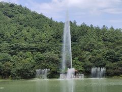 -广州白江湖森林公园