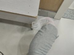 -纳吉亚猫专科动物医院博雅分院