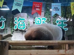 -栾川竹海野生动物园