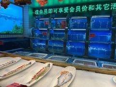 水产区-江南韵·无锡太湖文化体验餐厅(凤凰天街店)