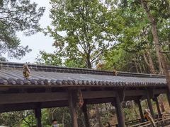 -千岛湖东南湖区