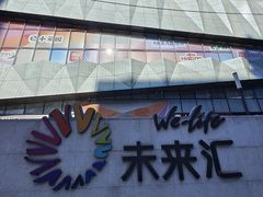 -远洋未来汇