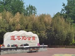 -莲花池公园