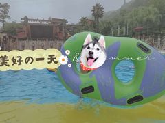 -重庆海昌加勒比海水世界