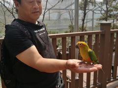 -燕塞湖鸟语林景区