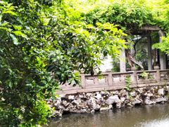 -复旦大学附属华山医院(总院)