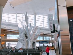 -达拉斯 沃斯堡国际机场