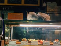 -咖法森林·咖啡  酒吧(天河店)