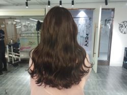 -MYCOLORHARSALON
