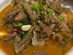 -龙小海荆沙鸽子店(瑞安街店)
