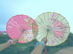 -亚龙湾国际玫瑰谷