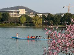 -羊山湖公园