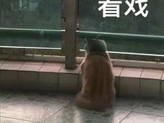-太二酸菜鱼(深圳布吉万象汇店)