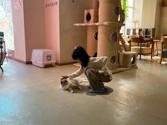 -藏猫猫咖啡主题馆(中央大道店)