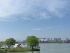 -贡湖湾湿地公园