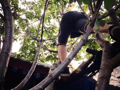 柳沟豆腐宴69号福豆堂-柳沟豆腐宴69号福豆堂