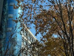 -武汉传媒学院