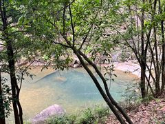 -广州白江湖森林公园