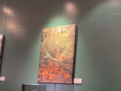 -烹然四季椰子鸡火锅(姚家园万象汇店)