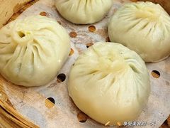 荠菜烤鸭包-古南都·清真绿柳居菜馆(太平南路店)
