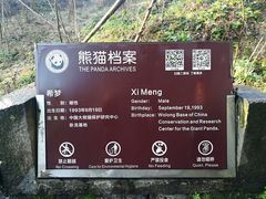 -都江堰中华大熊猫苑