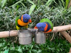 -南宫五洲植物乐园