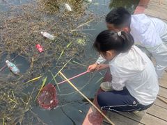 -同銮特种养殖场·龙虾垂钓