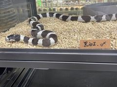 -三旗百汇商品城