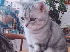-平行世界·猫咖(首经贸店)