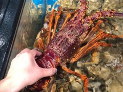 -盒马鲜生(曜一城店)