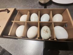 -佬太公海鸭·海鲜大排档(上海总店)