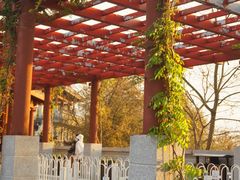 -岳麓山风景名胜区