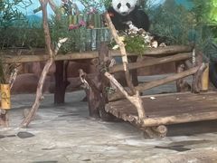 -南宁市动物园
